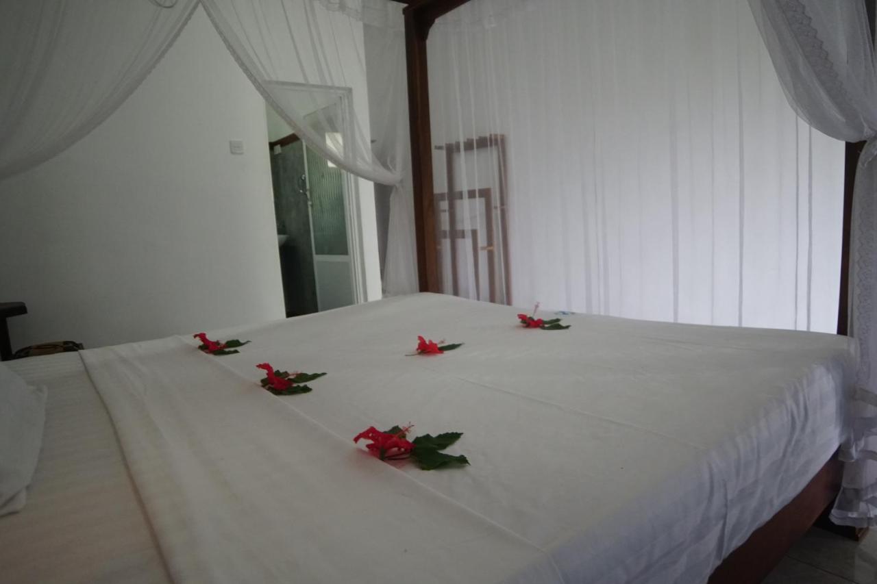 Turtle Bay Beach Resort มิริสซา ภายนอก รูปภาพ