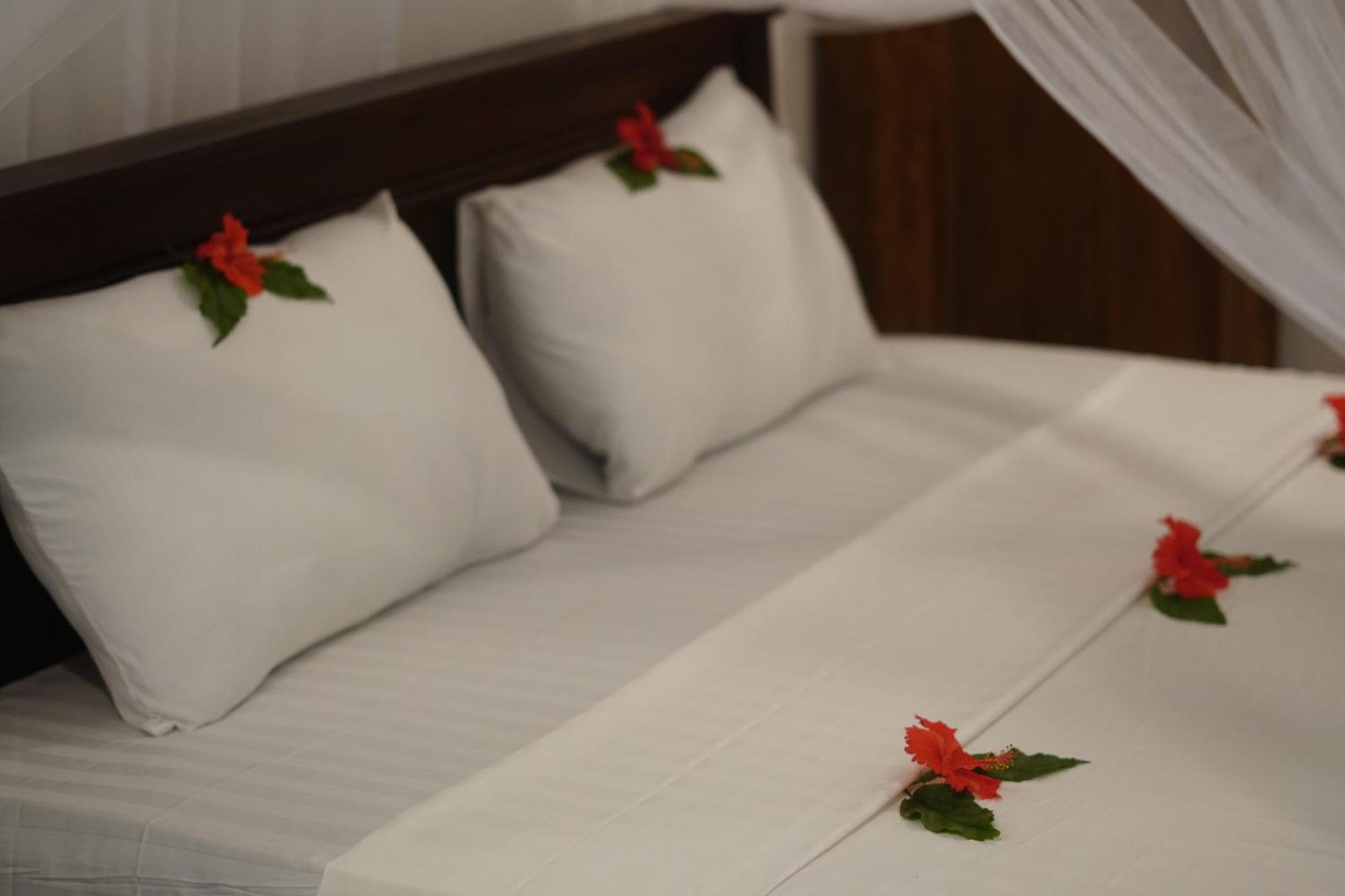 Turtle Bay Beach Resort มิริสซา ภายนอก รูปภาพ