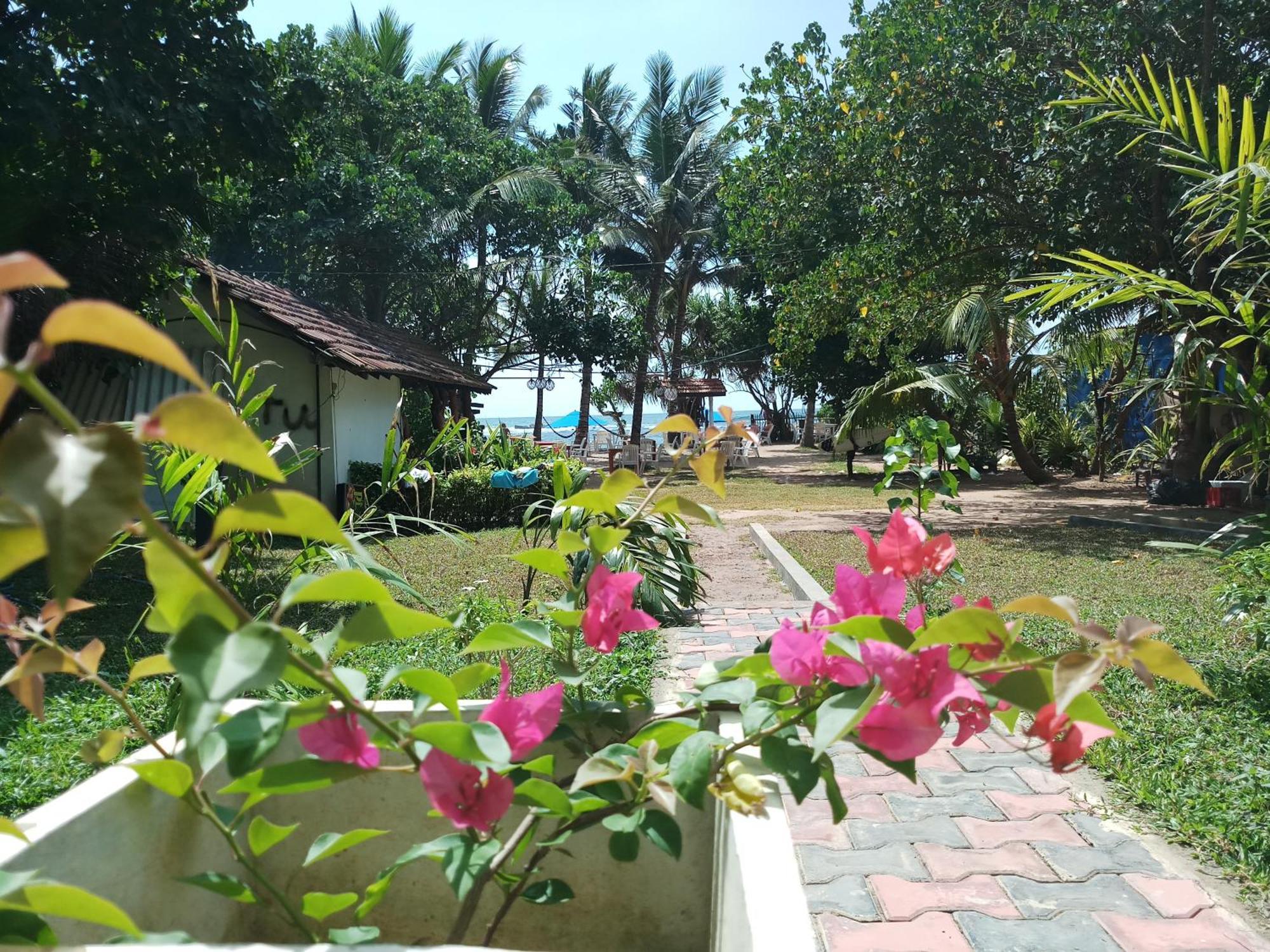 Turtle Bay Beach Resort มิริสซา ภายนอก รูปภาพ